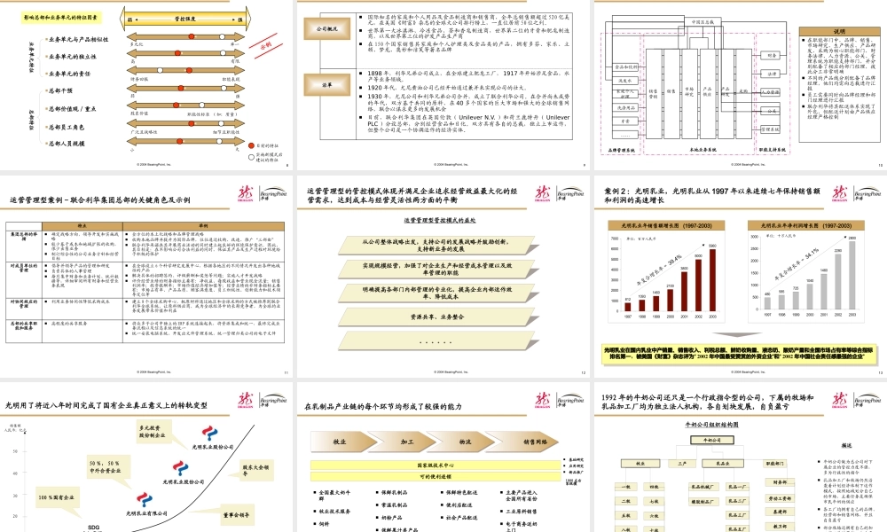《上海龙头集团公司管控模式项目中期报告》KPMG(73