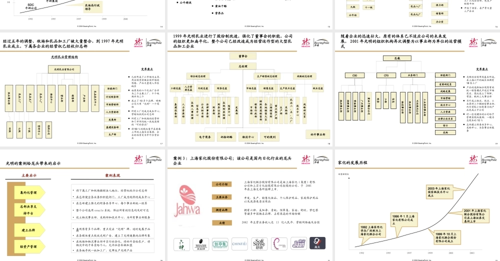 《上海龙头集团公司管控模式项目中期报告》KPMG(73
