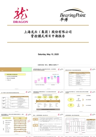 《上海龙头集团公司管控模式项目中期报告》KPMG(73