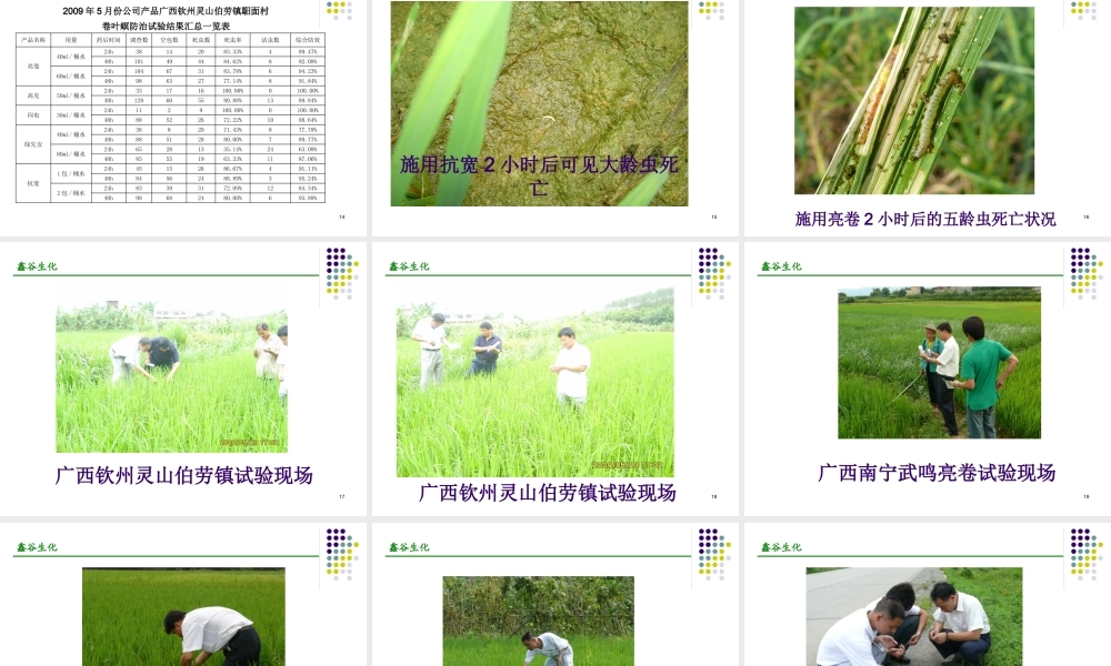 XXXX年渌口三级联储推介会讲稿