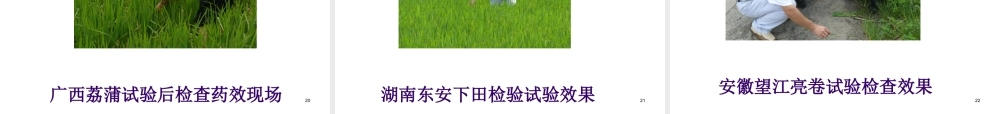 XXXX年渌口三级联储推介会讲稿