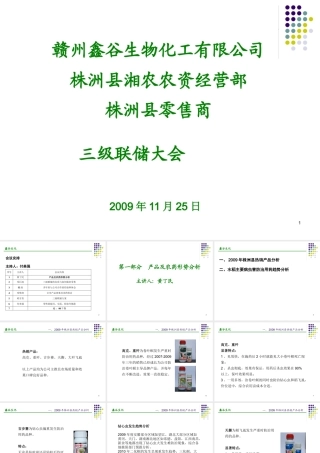 XXXX年渌口三级联储推介会讲稿