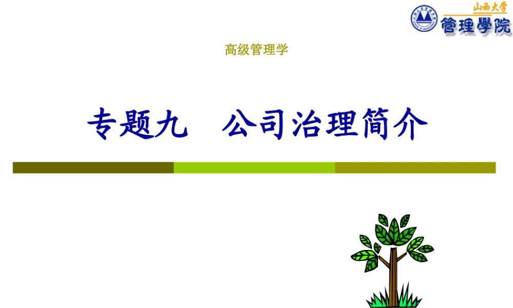 专题09公司治理简介