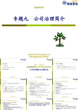 专题09公司治理简介