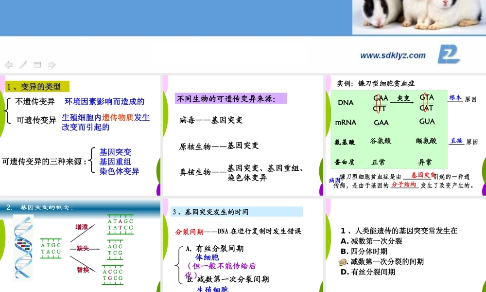 专题20基因突变和基因重组