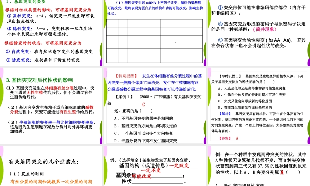 专题20基因突变和基因重组