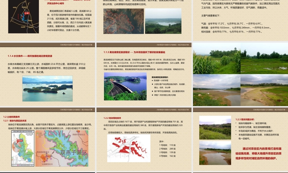 XXXX年眉山天朗蔚蓝半岛国际马术度假区项目概念规划案