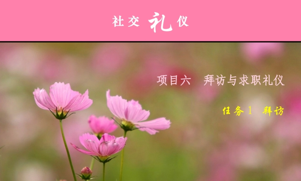 《社交礼仪》拜访礼仪