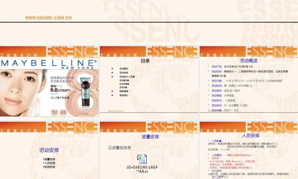 XXXX年美宝莲校园派发执行手册