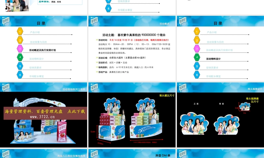 XXXX年蒙牛真果粒现代通路推广方案(30)