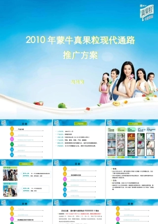 XXXX年蒙牛真果粒终端推广方案签字版