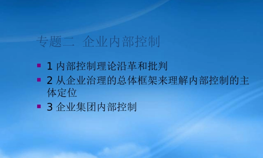 专题二企业内部控制(财务风险管理南京大学张艳)