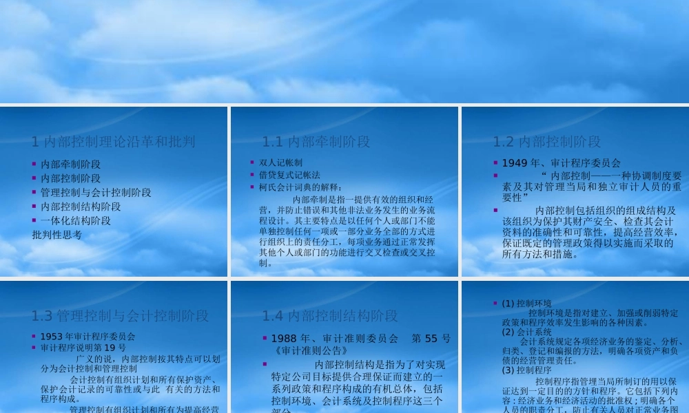 专题二企业内部控制(财务风险管理南京大学张艳)