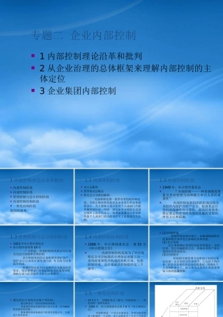 专题二企业内部控制(财务风险管理南京大学张艳)