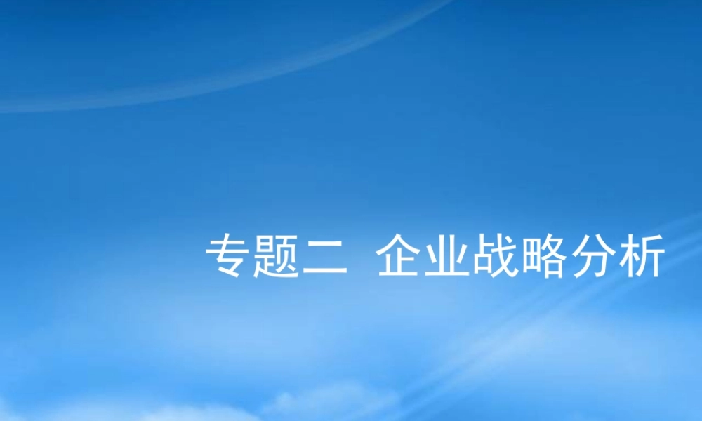 专题二企业战略分析(XXXX)
