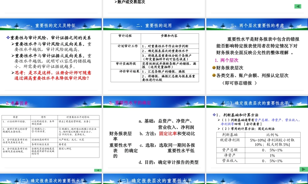 《审计学》第4讲_重要性审计风险