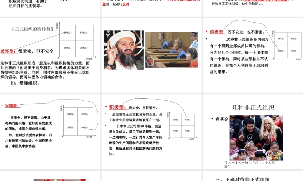 专题非正式组织5