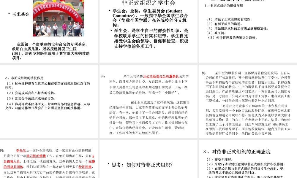 专题非正式组织5