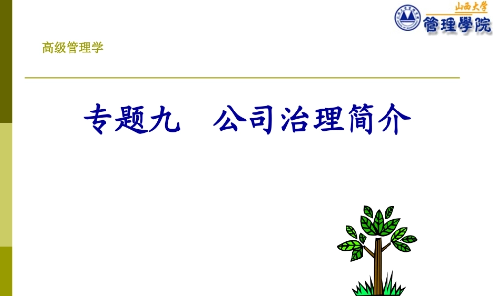 专题公司治理概述课件
