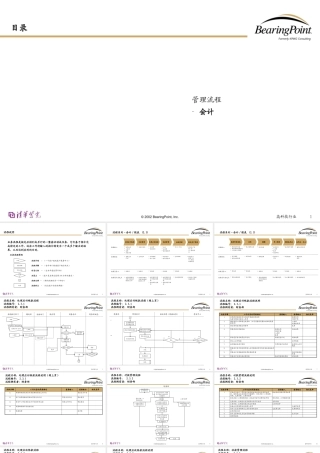 XXXX年某咨询清华紫光会计管理流程(ppt36)