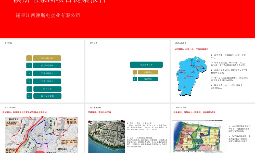 XXXX年南昌澳斯屯象湖项目提案报告