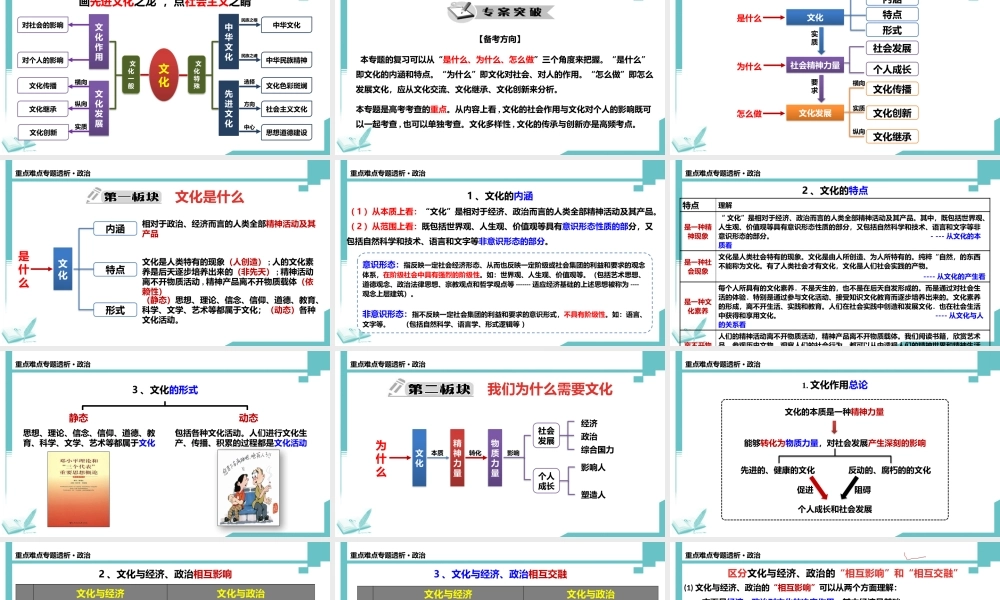 专题七文化的作用与发展