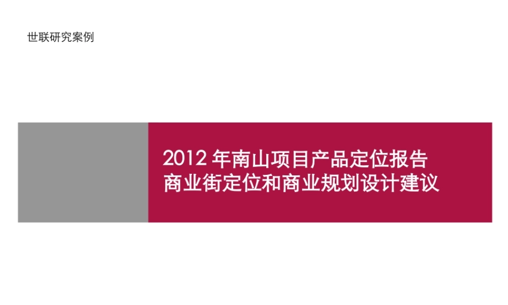 XXXX年南山项目产品定位报告-商业街定位和商业规划设计