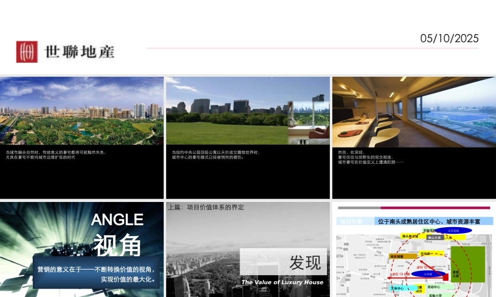 XXXX年南山项目产品定位报告-商业街定位和商业规划设计