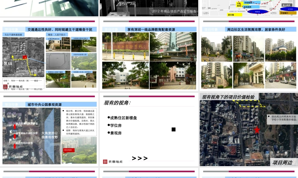 XXXX年南山项目产品定位报告-商业街定位和商业规划设计