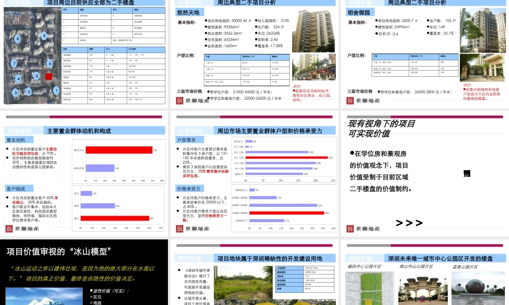 XXXX年南山项目产品定位报告-商业街定位和商业规划设计