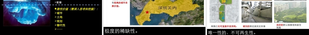 XXXX年南山项目产品定位报告-商业街定位和商业规划设计