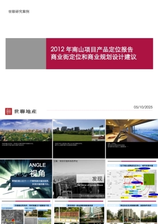 XXXX年南山项目产品定位报告-商业街定位和商业规划设计