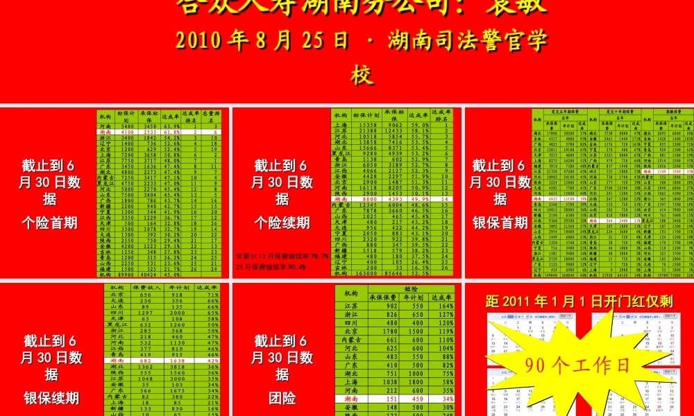 XXXX年年中会报告__袁敏