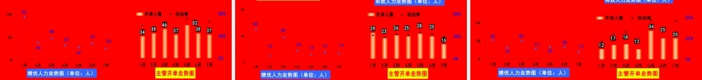 XXXX年年中会报告__袁敏