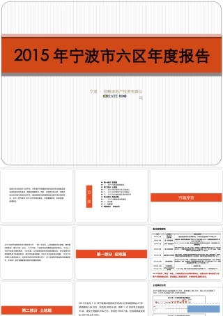 XXXX年宁波市六区年度报告