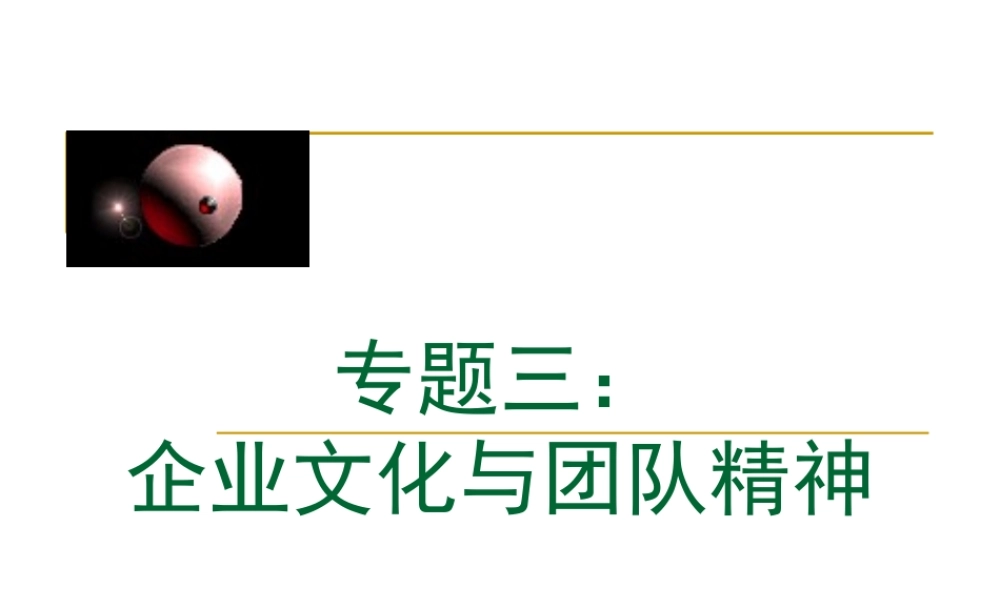 专题三企业组织与团队管理(企业文化与团队精神)