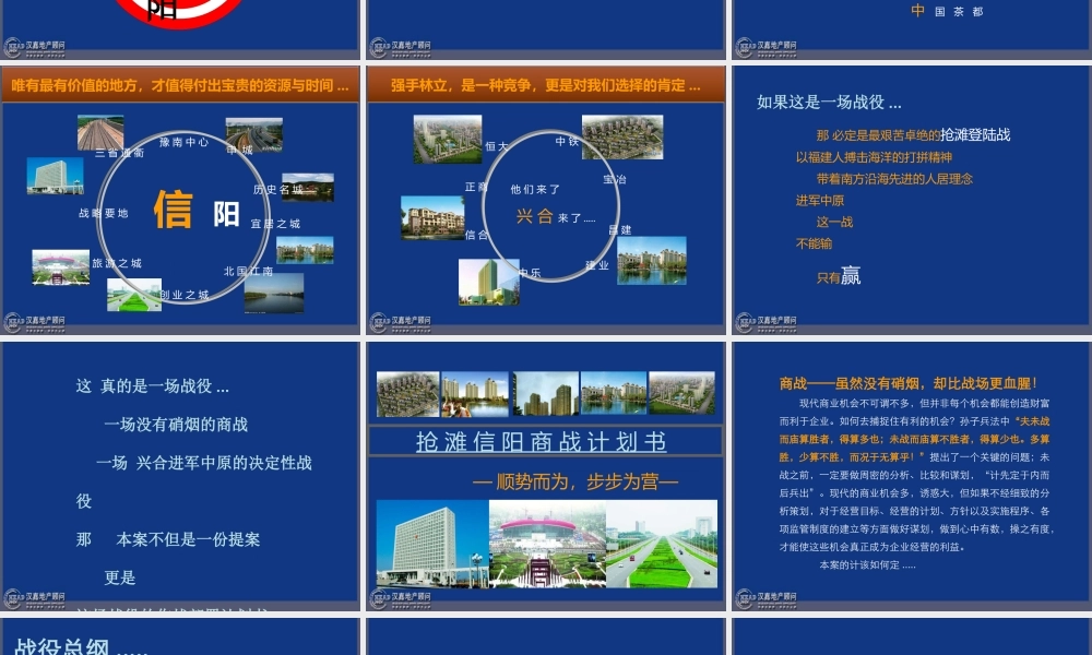 XXXX年抢滩信阳商战计划书