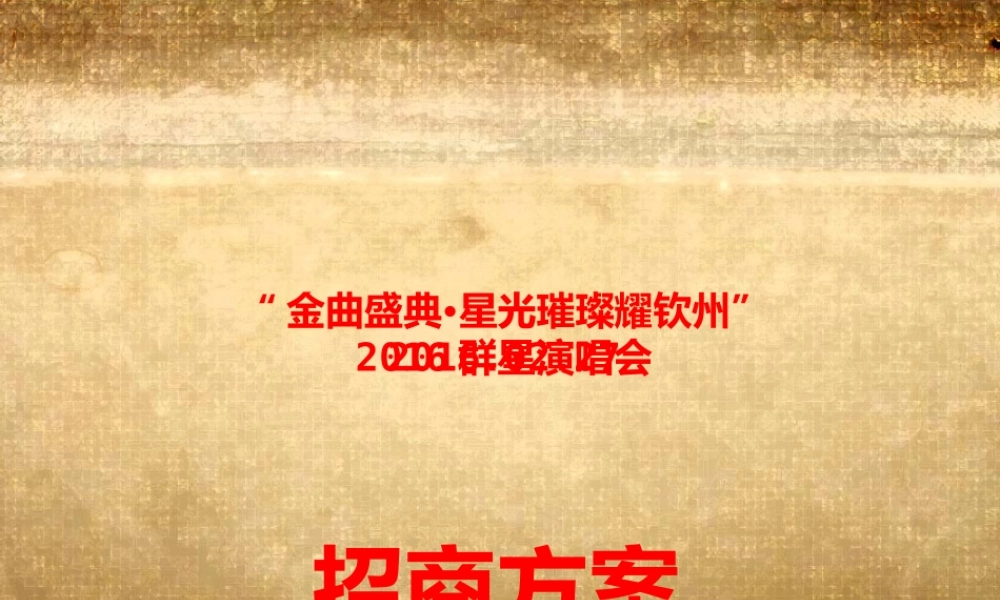 XXXX年钦州群星演唱会招商方案(A)