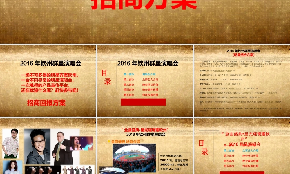 XXXX年钦州群星演唱会招商方案(A)