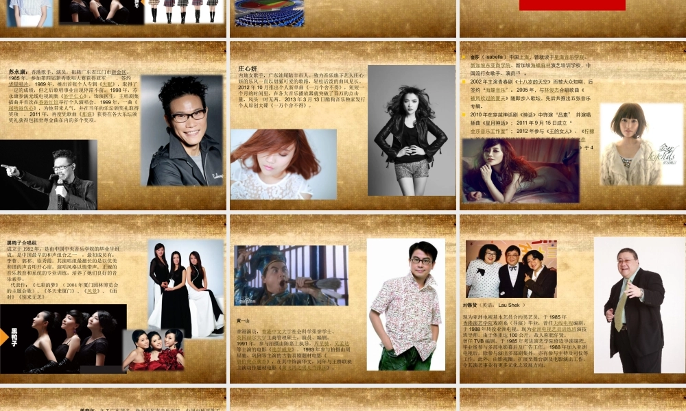 XXXX年钦州群星演唱会招商方案(A)