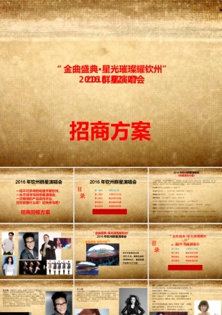 XXXX年钦州群星演唱会招商方案(A)