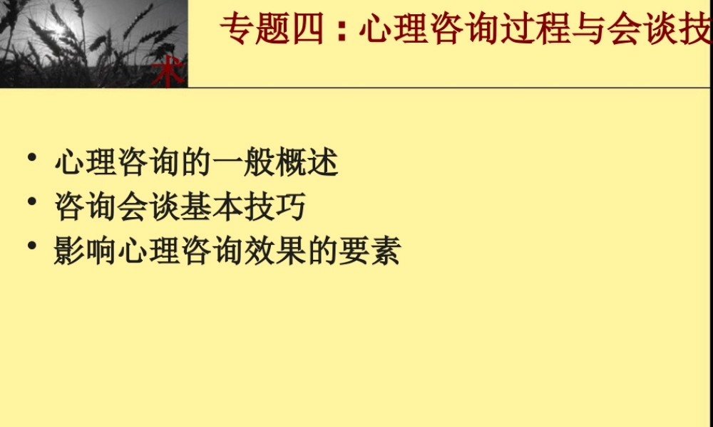 专题四心理咨询过程与技术1