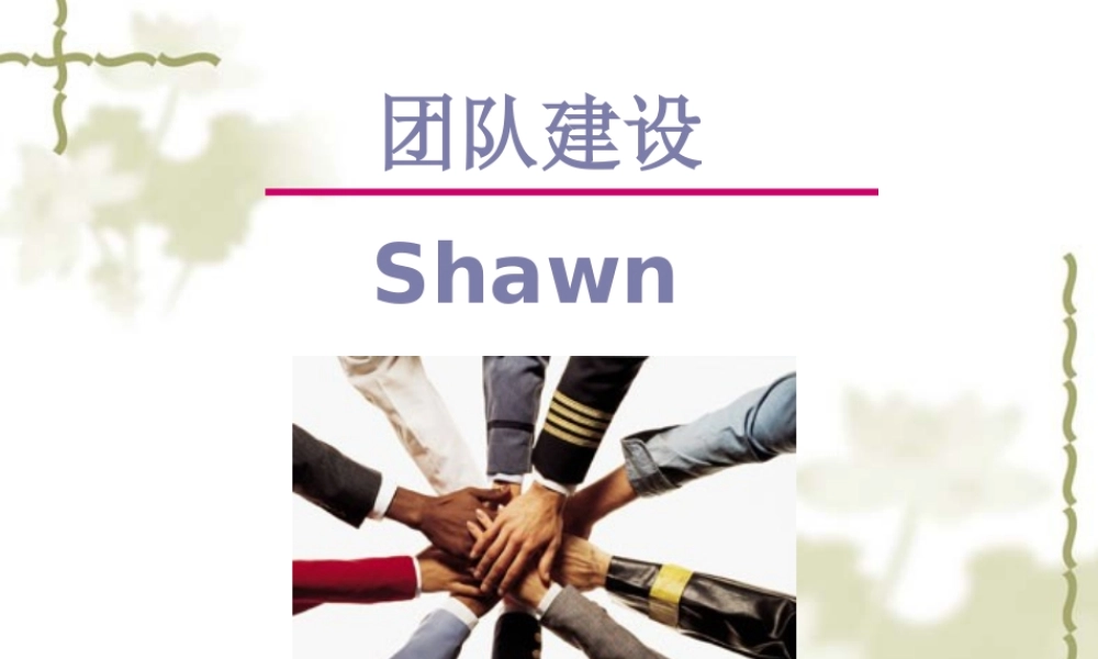 专题-团队建设（PPT36页）