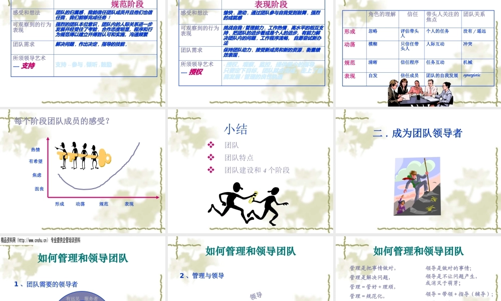 专题-团队建设（PPT36页）