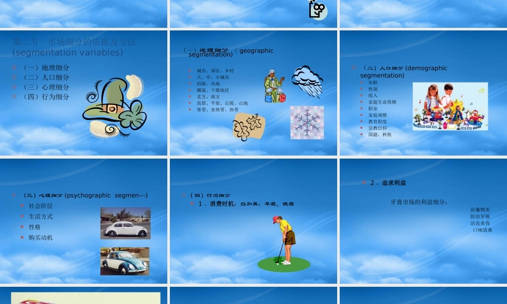 专题五 市场细分与目标市场营销(ppt 34)