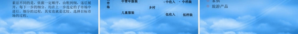 专题五 市场细分与目标市场营销(ppt 34)