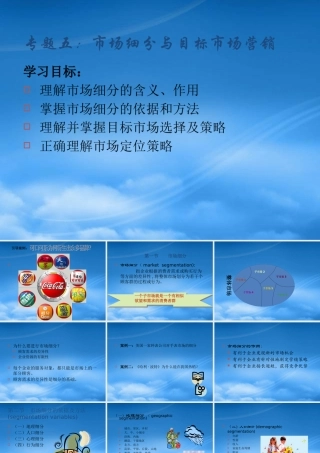 专题五 市场细分与目标市场营销(ppt 34)