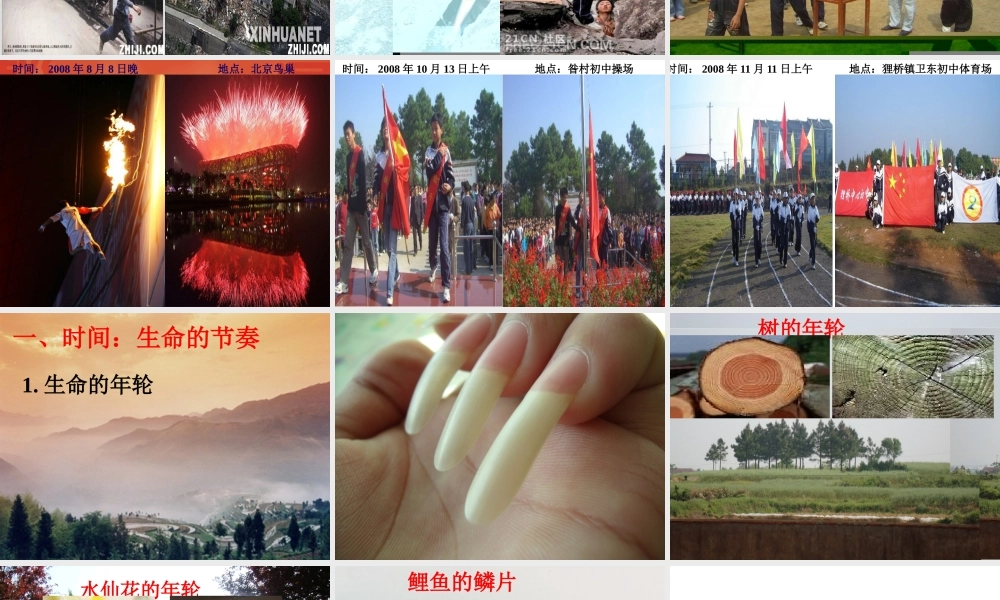 《时间生命的节奏》