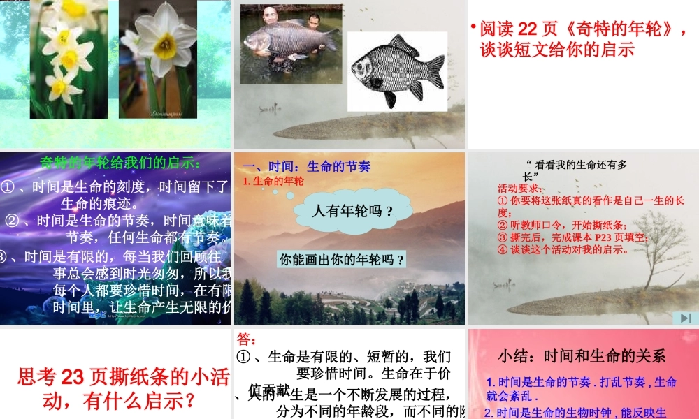 《时间生命的节奏》