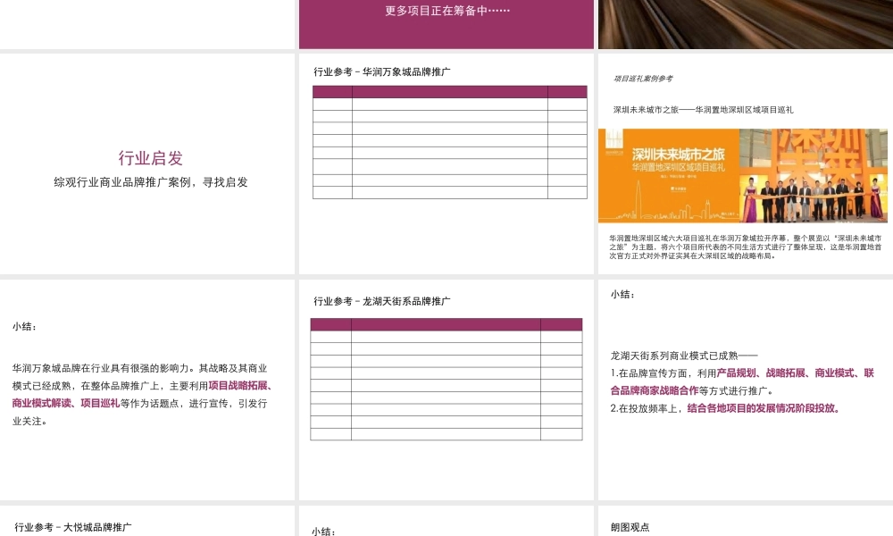 XXXX年泉州泰禾广场品牌全国推广及东二环推广思路